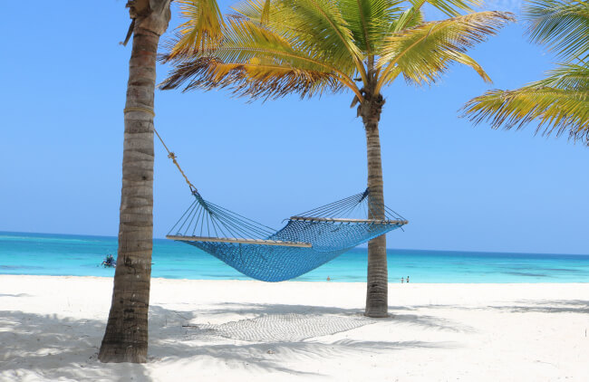 Zanzibar Beach Property Developer