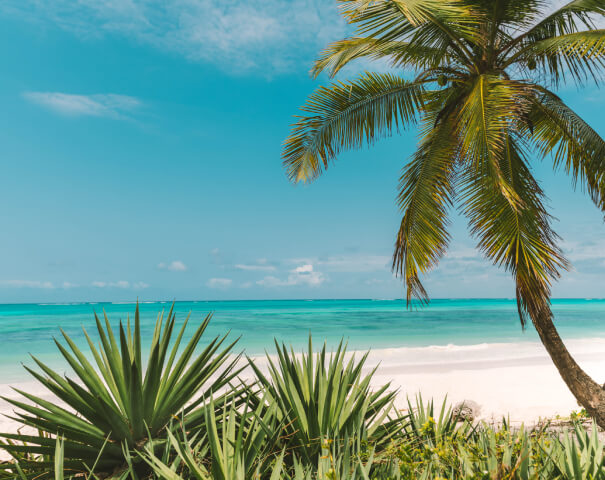 Nungwi House Beachfront Property Development header image