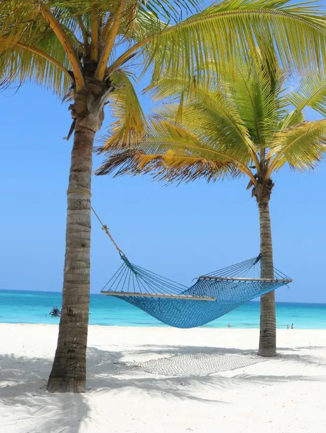 Why Invest in Zanzibar?